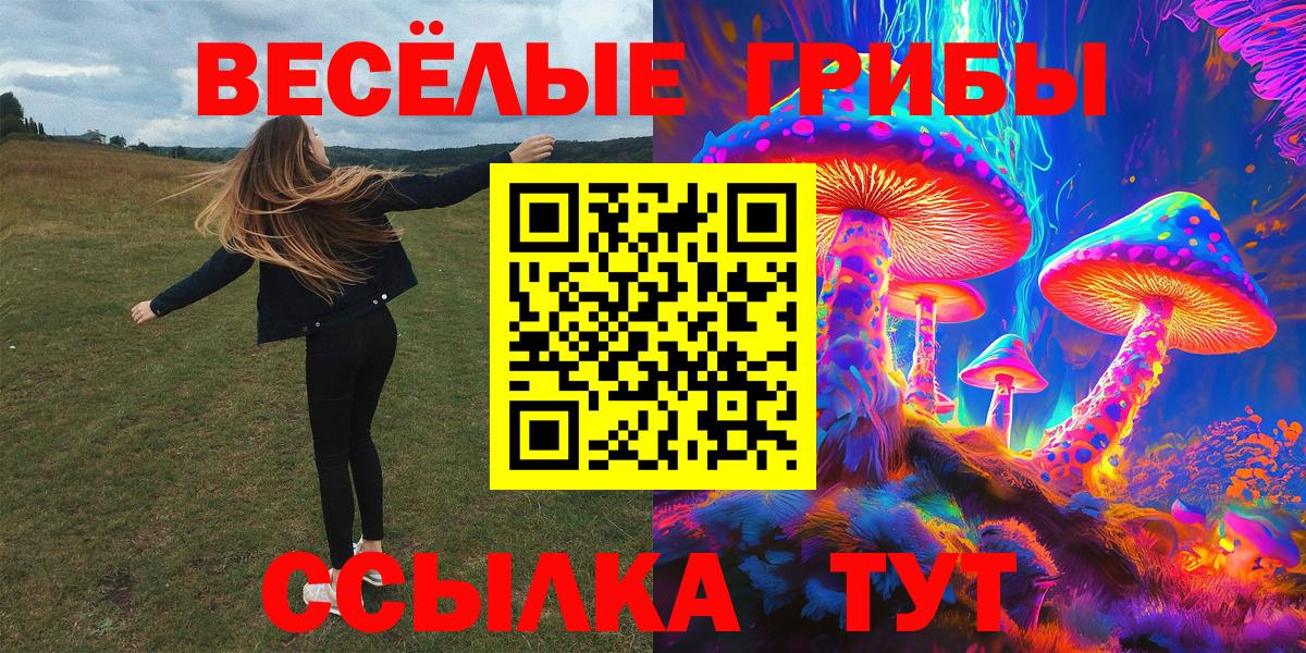 Псилоцибиновые грибы Psilocybe  Вход с VPN  Десногорск 